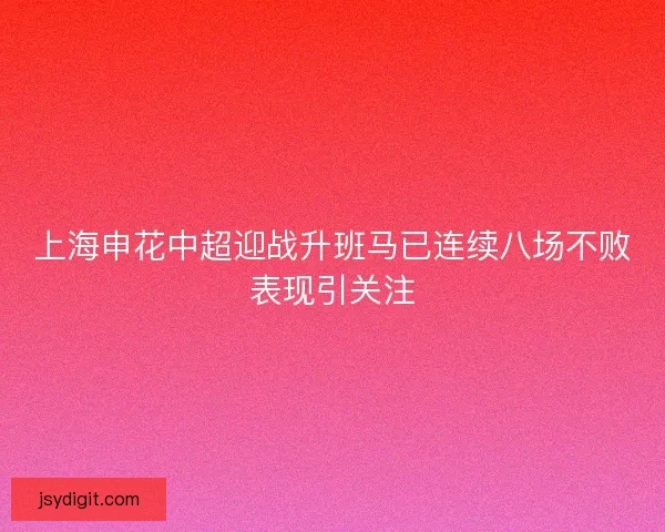 上海申花中超迎战升班马已连续八场不败表现引关注