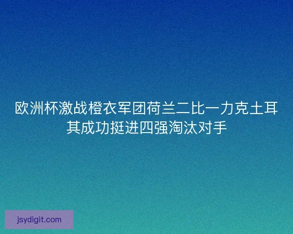 欧洲杯激战橙衣军团荷兰二比一力克土耳其成功挺进四强淘汰对手