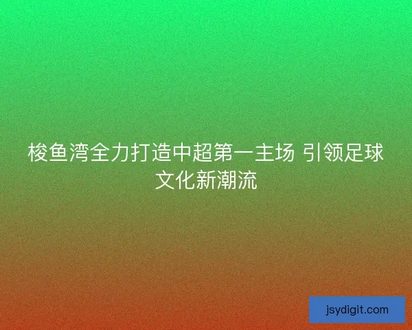 梭鱼湾全力打造中超第一主场 引领足球文化新潮流